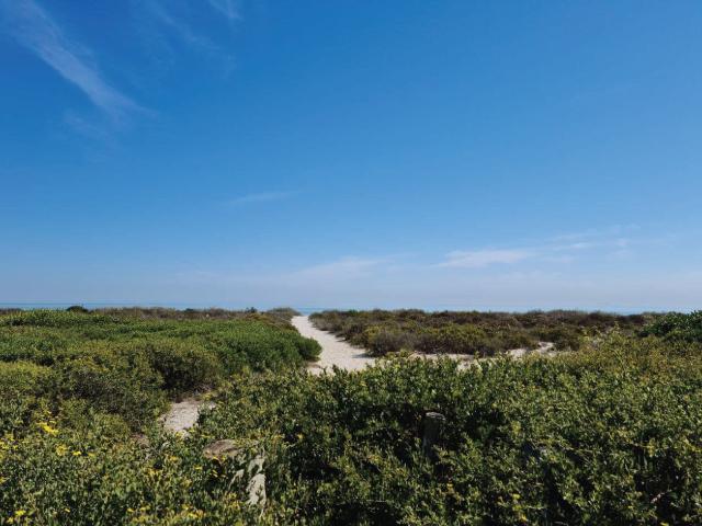 To Let 3 Bedroom Property for Rent in Dwarskersbos Western Cape